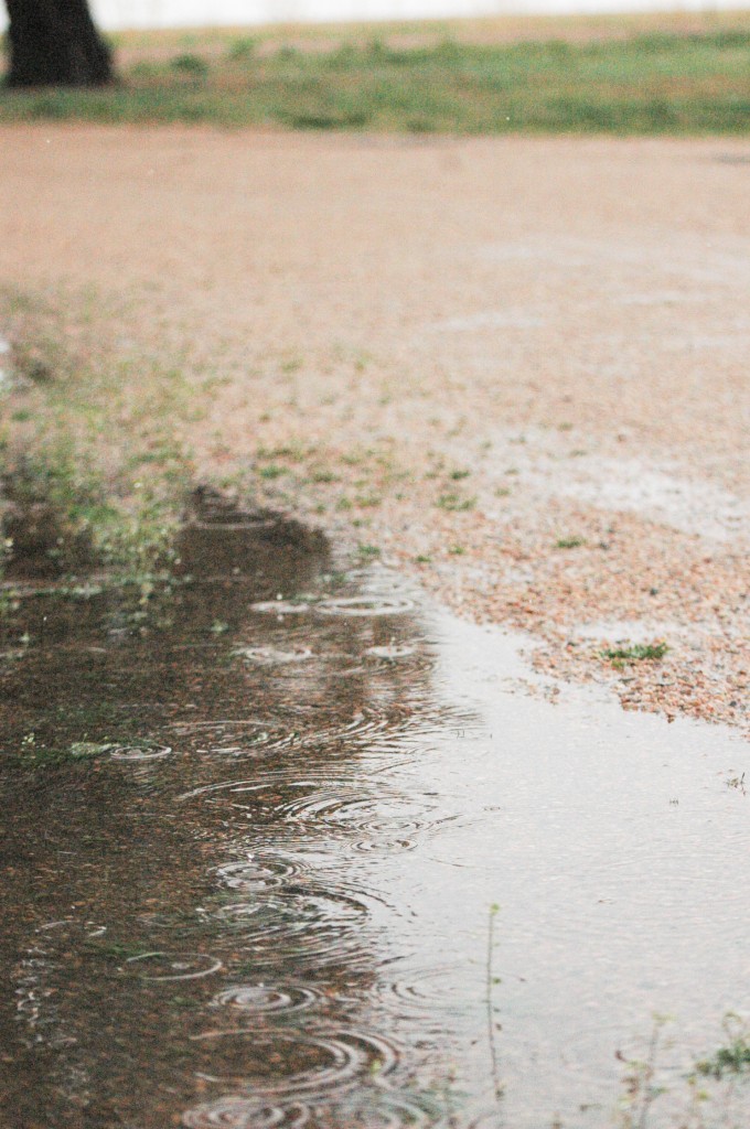 Puddles (1 of 1)
