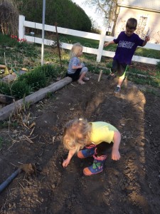 I had a lot of help planting peas. My three oldest ones like to play in the dirt, regardless of its moisture content.