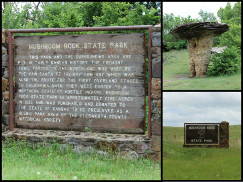 Didn't know there was such a thing as Mushroom State Park? Neither did I! It's amazing what you discover driving down the dirt roads of Ellsworth County.