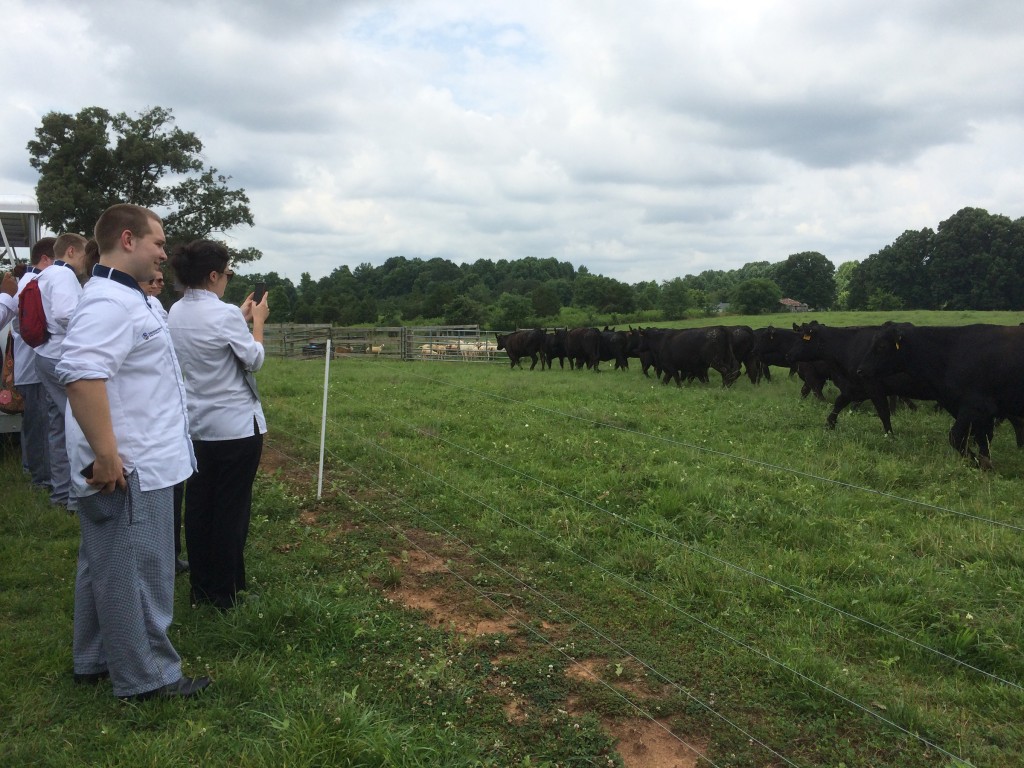 For the majority of the students, this was their first introduction to beef production.