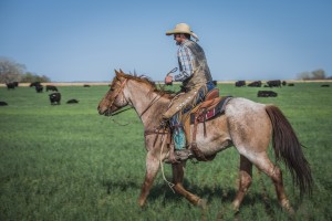 Chef Tour, 2014, Stucky Ranch