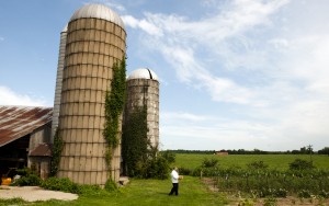 Josh Moore Farm