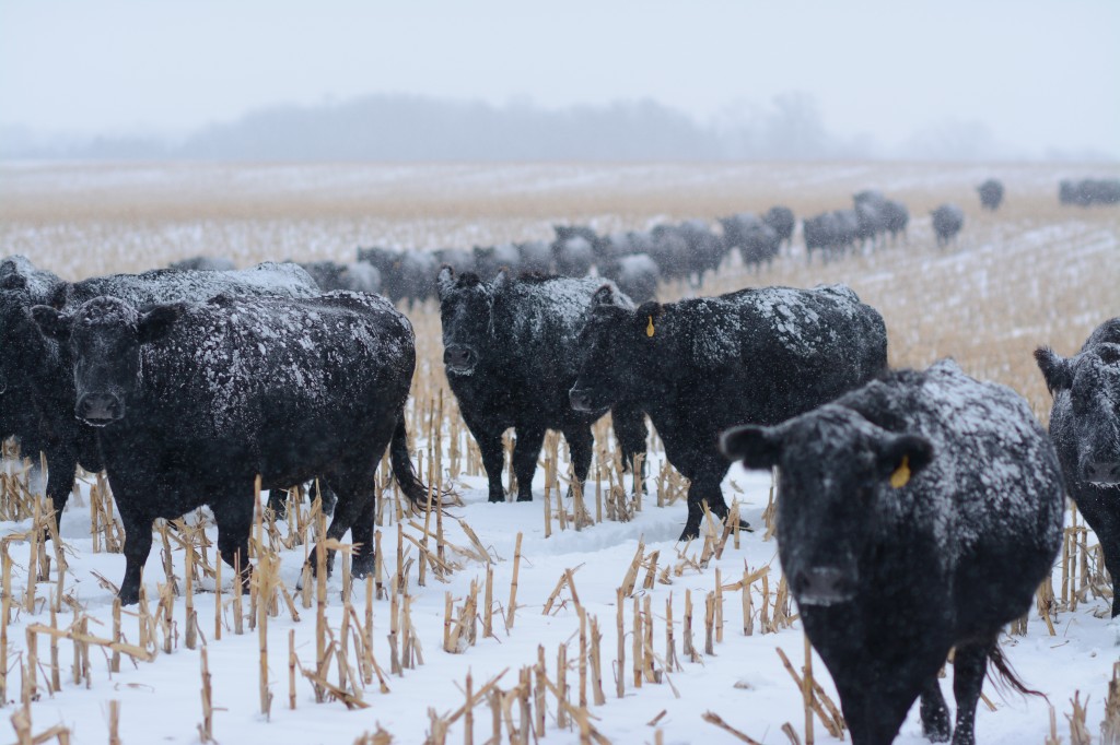 2014_12_26_mr_Reiman-36
