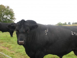 2009 09 09_ln_Skeets Ranch 033