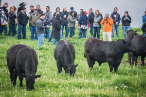 international round up