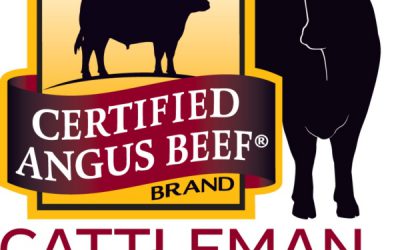 Mythbuster Monday talks change and chance