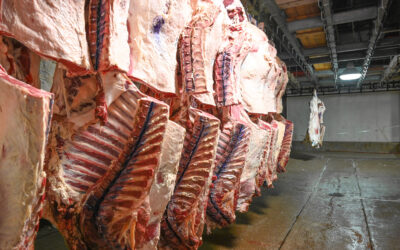 Tracking Premiums to the Source