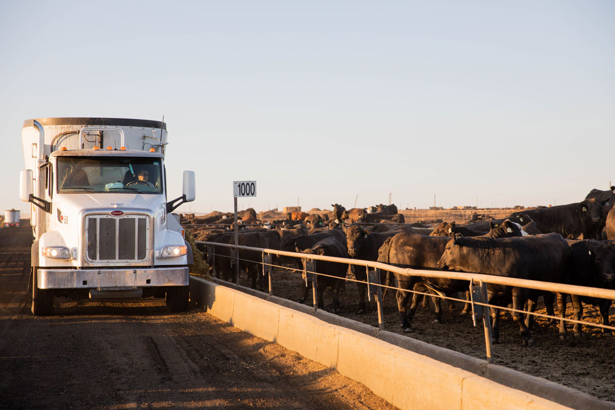 feed truck