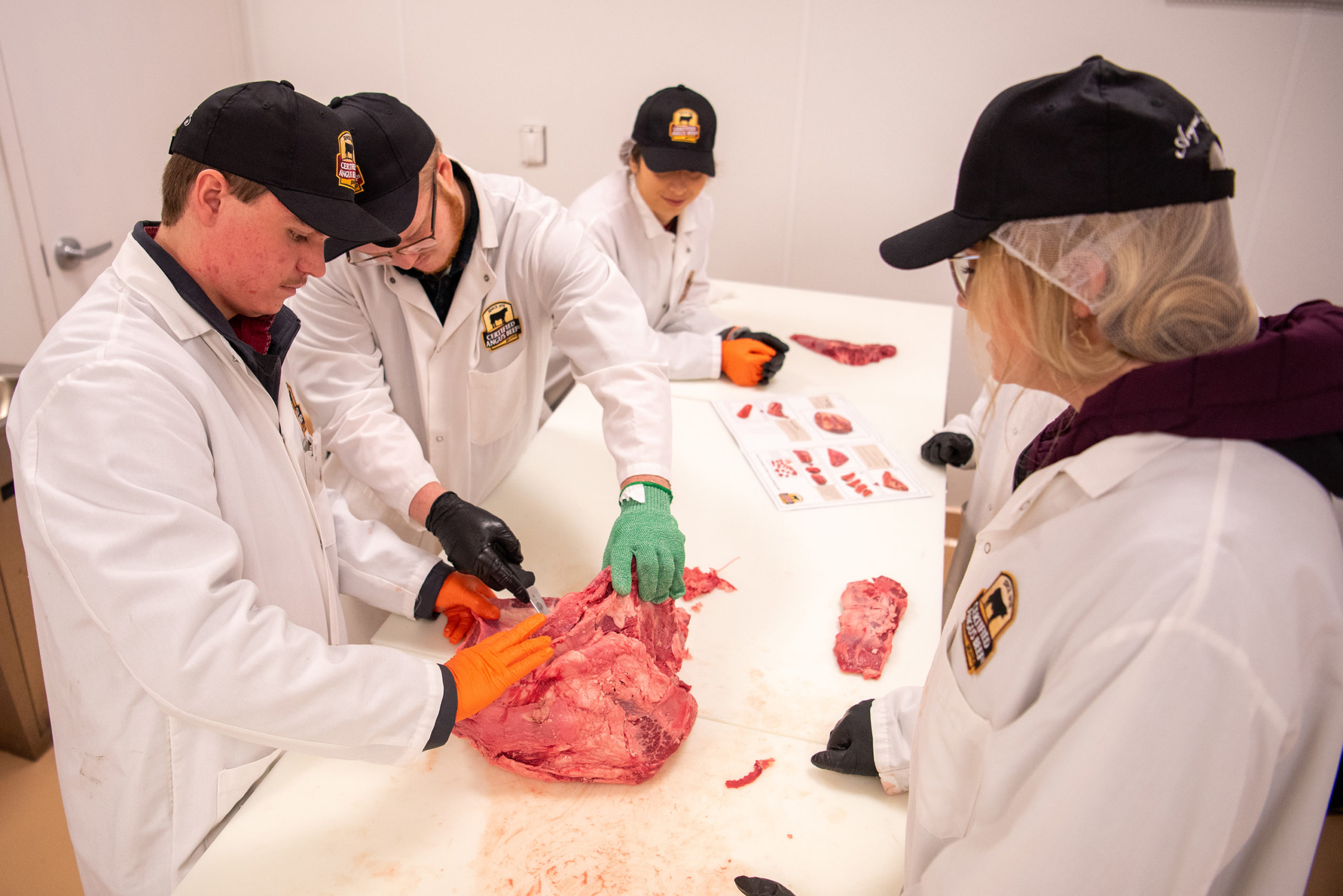 YBLS participants in CAB meat lab