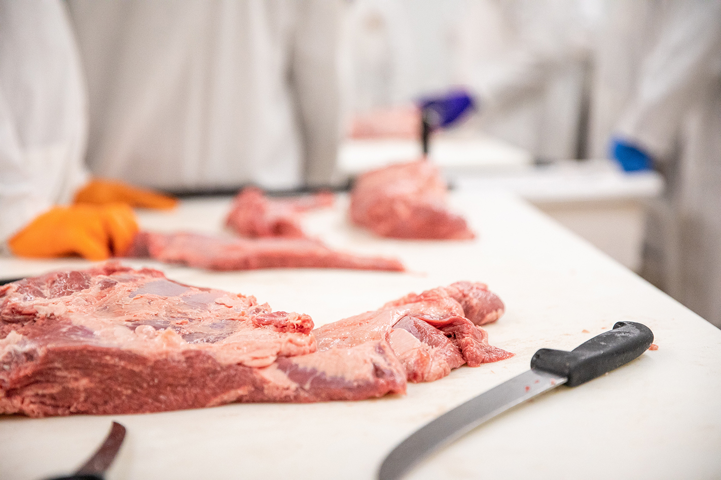 Protein pricing urges beef quality