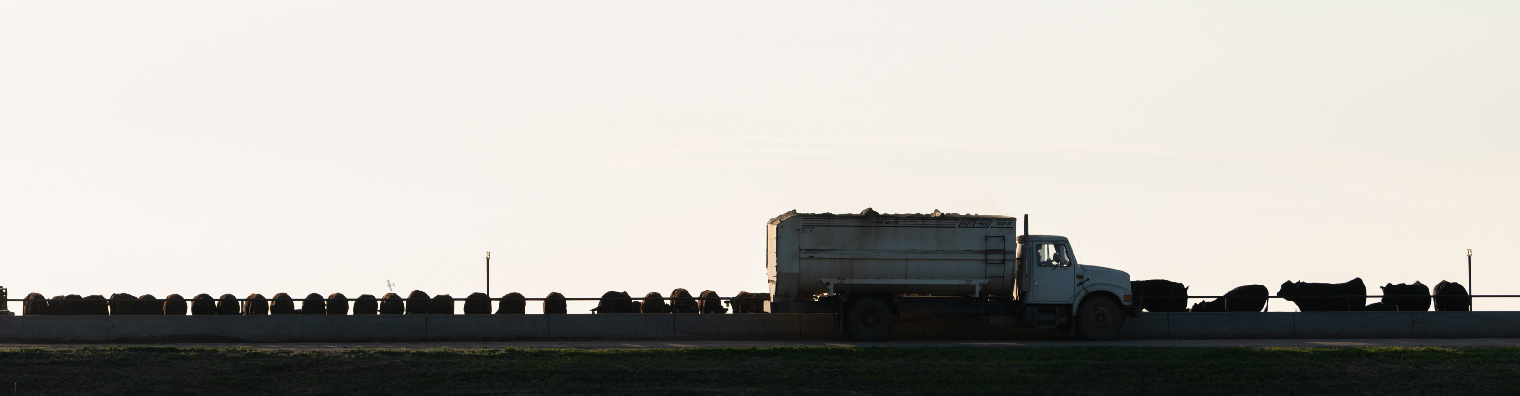 hy plains feedyard