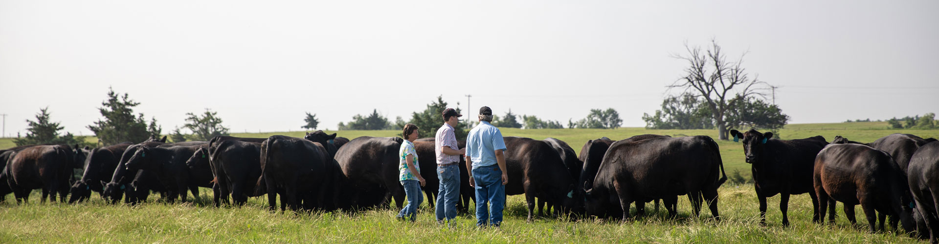 Pfeiffer Angus 2021 CAB Ambassador Award