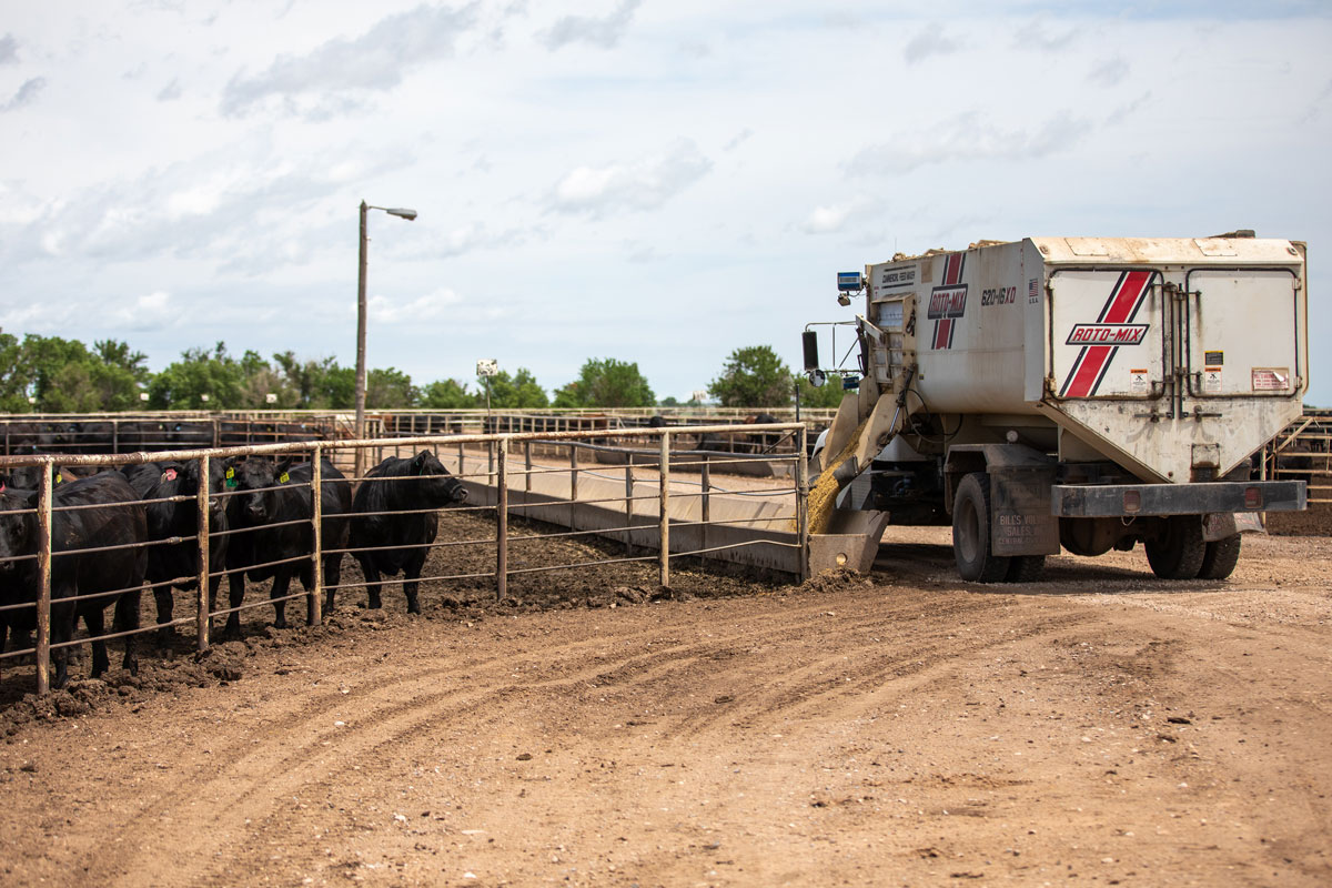 feed truck at yard