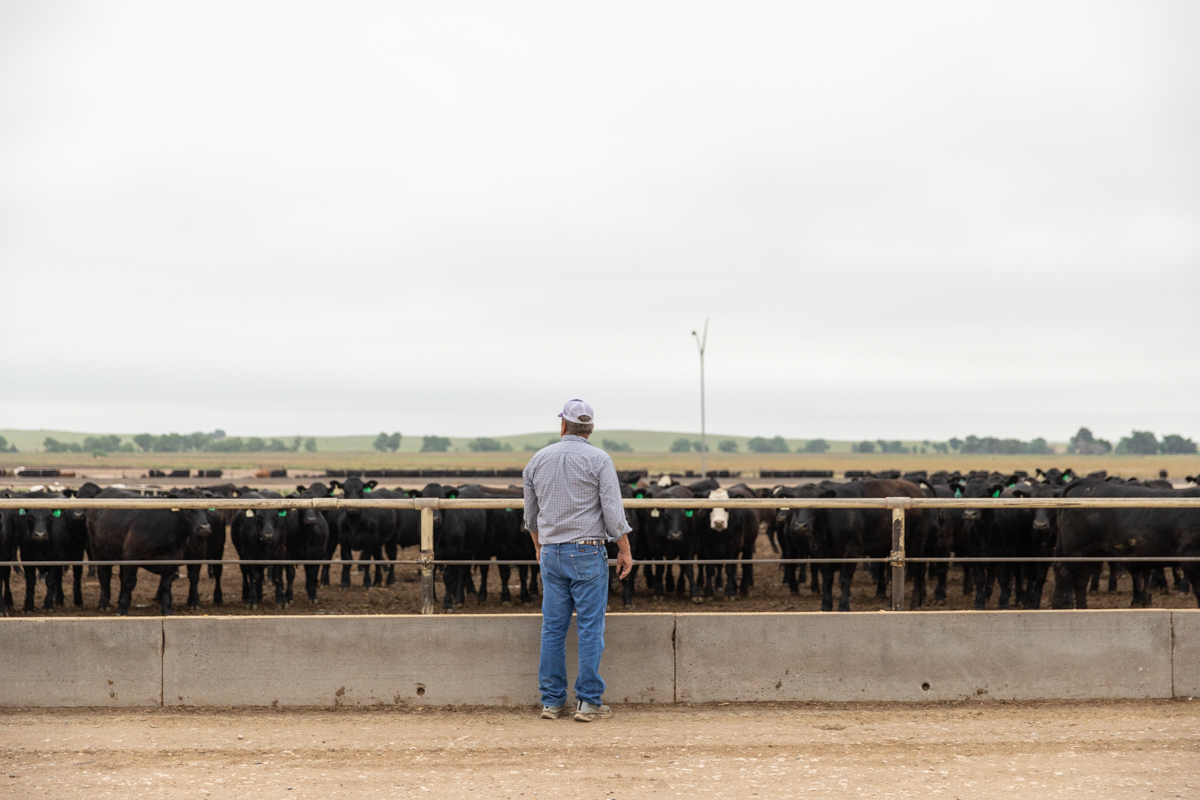 Wordless Wednesday: scenic feedyards?