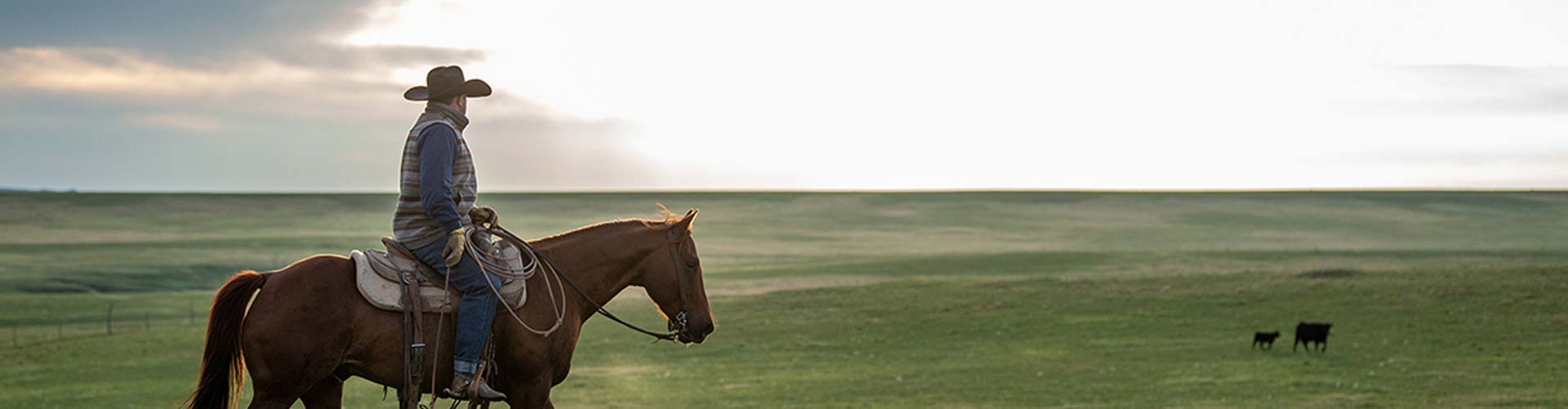 cowboy riding through pasture