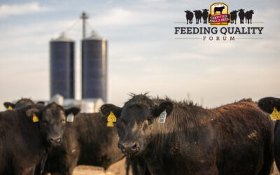 Register Now for Feeding Quality Forum