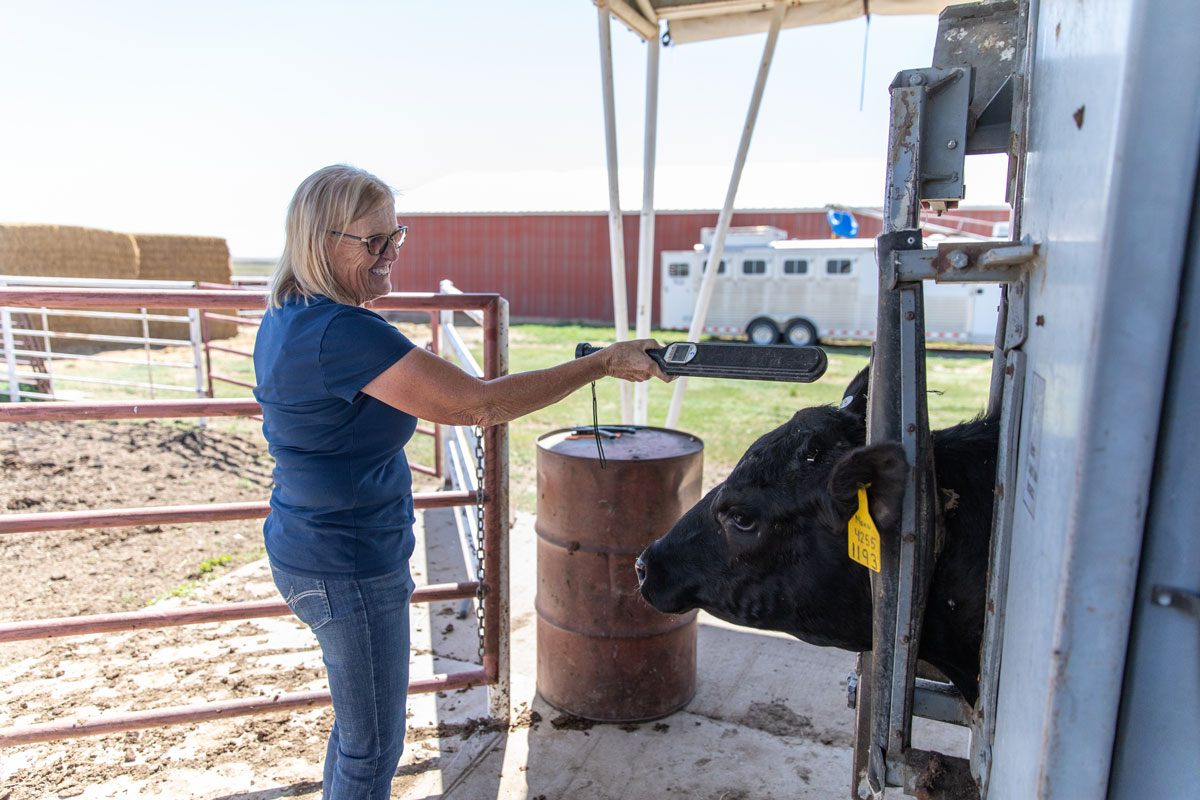 Becky Larson using EID scanner