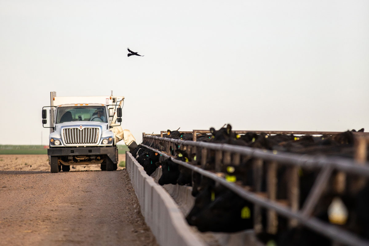 Triangle H feedtruck