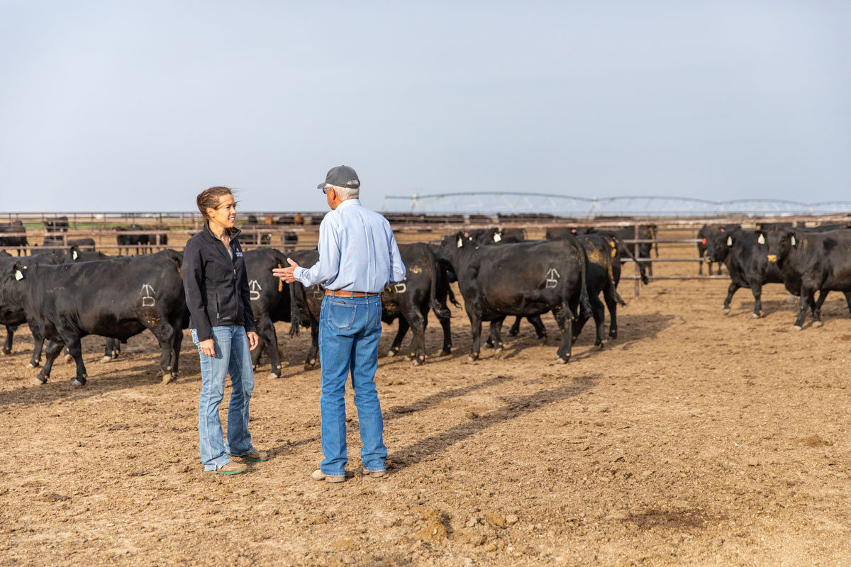 Marisa Kleysteuber and Sam Hands in feedyard pen