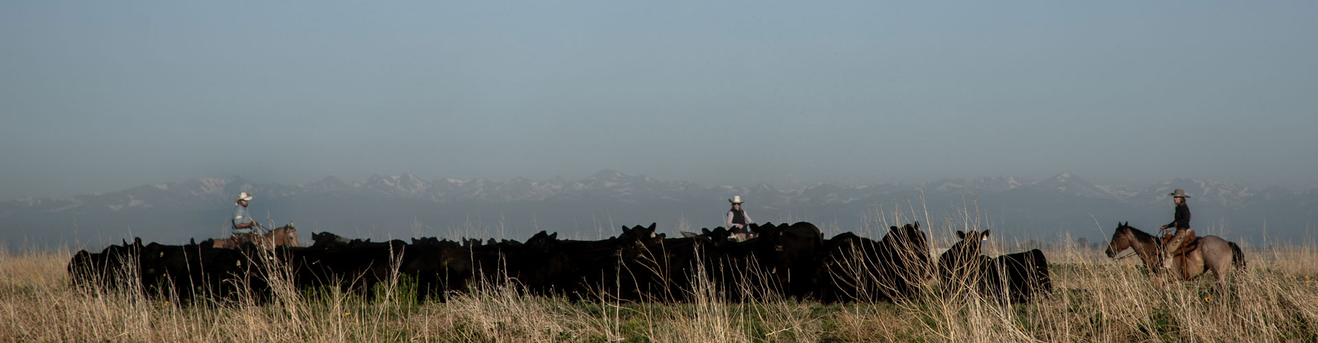 Colorado ranch