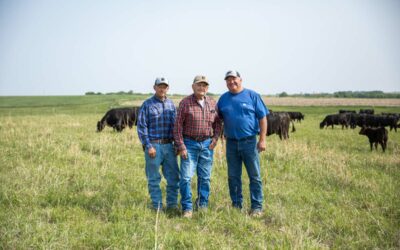 Benoit Angus Ranch honored with CAB Seedstock Commitment to Excellence Award