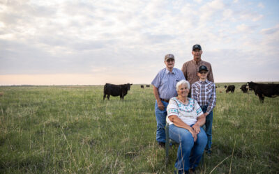 Nebraska Ranch Receives Certified Angus Beef Commercial Award