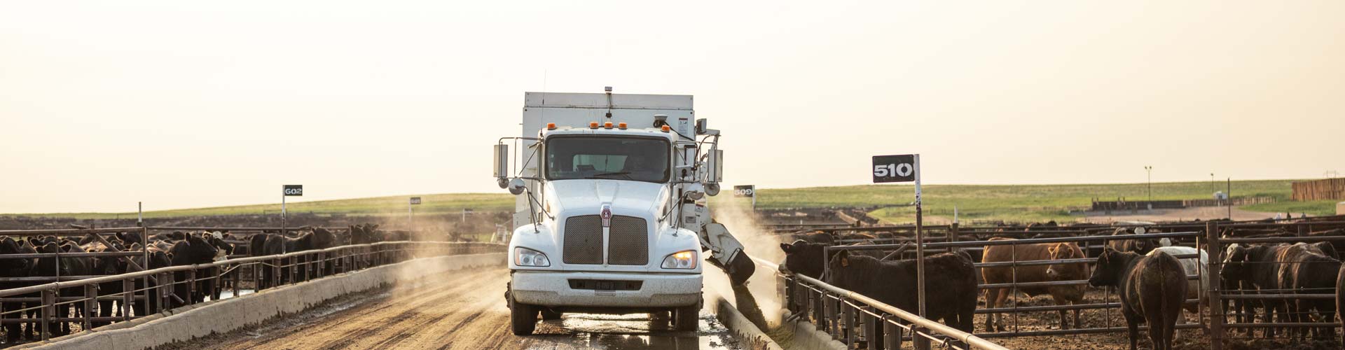 feedtruck at Magnum Feedyard