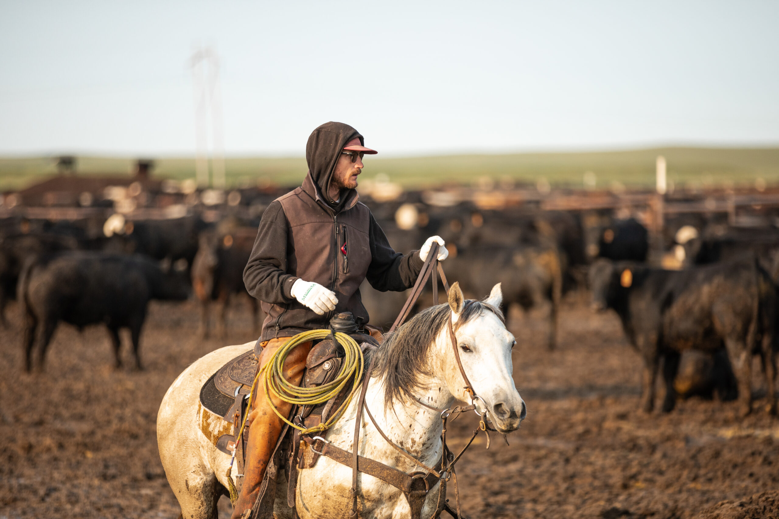 Magnum Feedyard pen rider