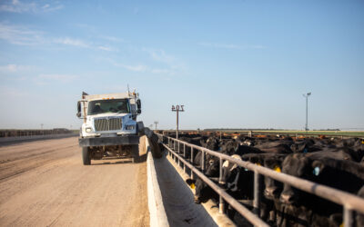 Feeding Quality Forum Dates Set Earlier in August