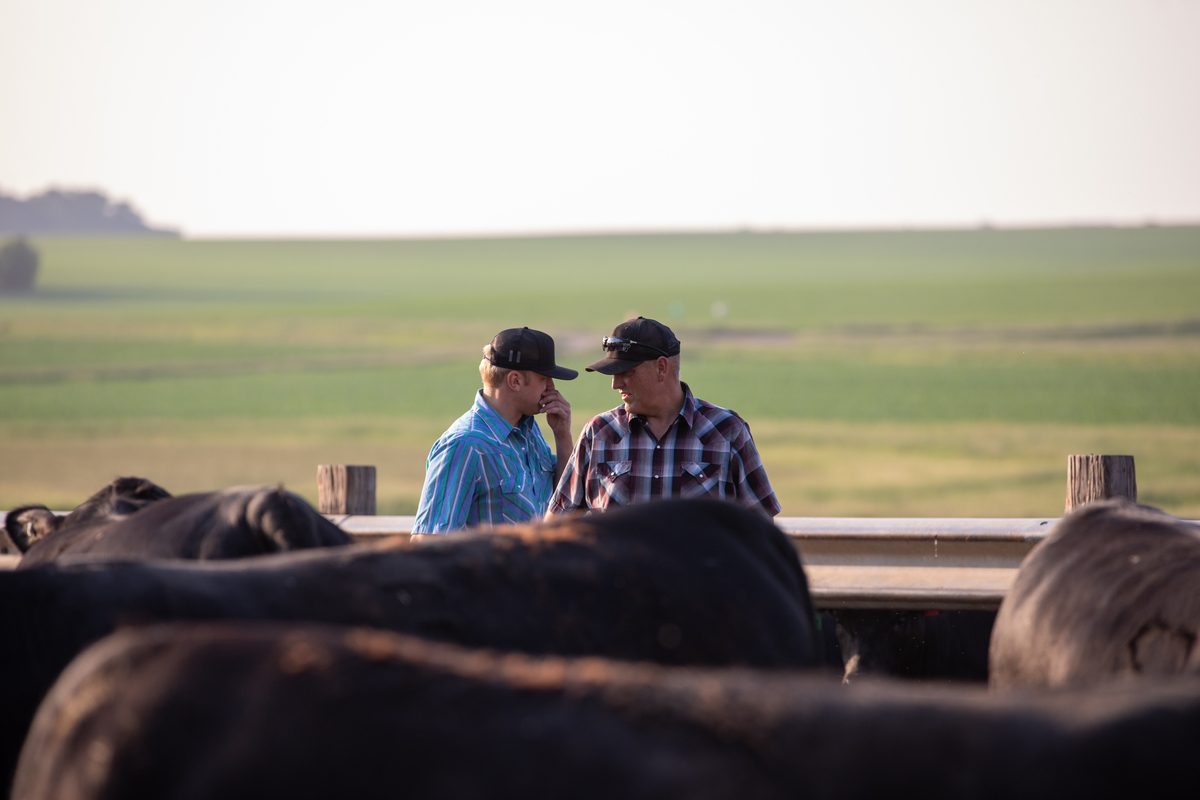 Tory and Dallas Knobloch walking pens in their feedyard