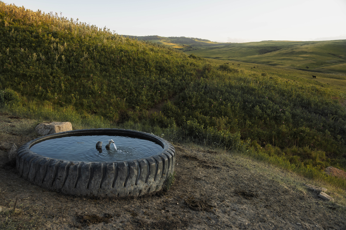 Water tank