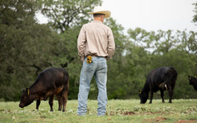 Texas Ranch Received CAB Ambassador Award