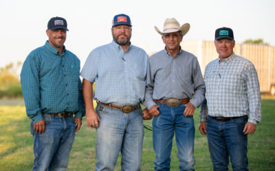 The Capstone Approach to Modern Cattle Feeding