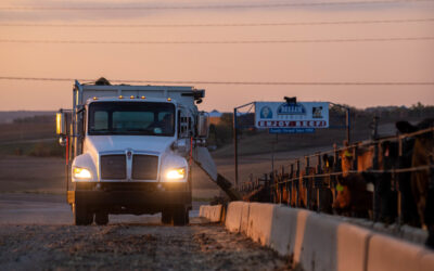 Nebraska Feedyard Recognized for Excellence