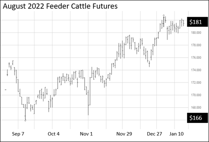 2022 august feeder cattle futures