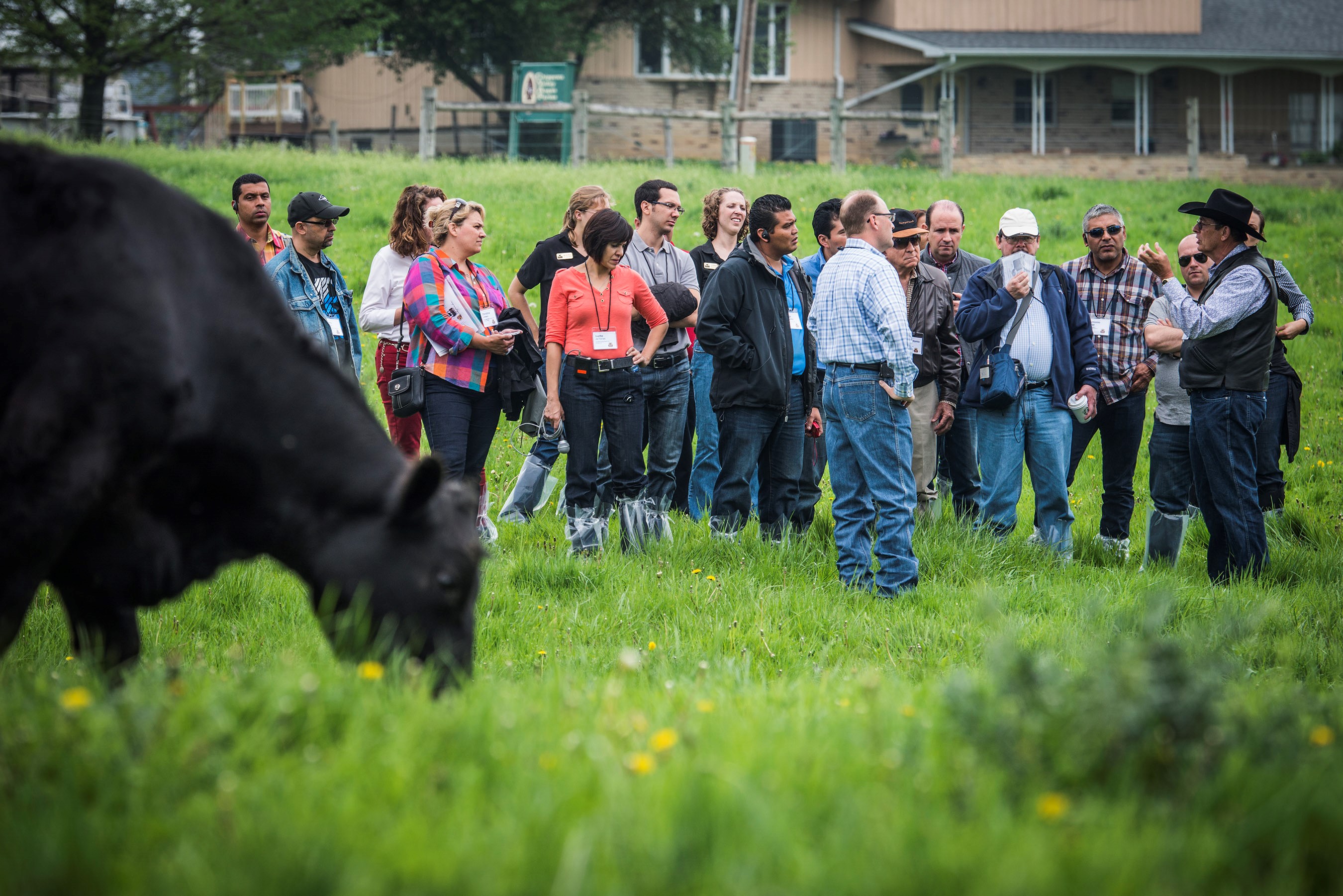 Record beef exports despite trade challenges