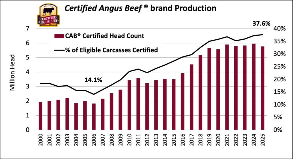 CAB Production from 2000 to 2025