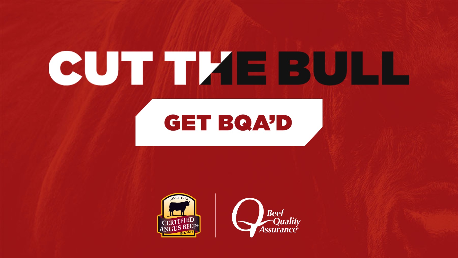 Cut the Bull graphic