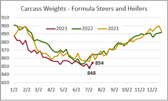 Carcass Weights - Formula Steers