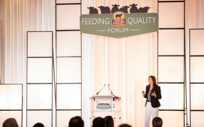The buzz about beef