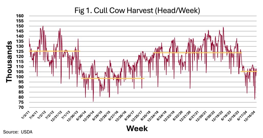 cull cow harvest 2011-2025