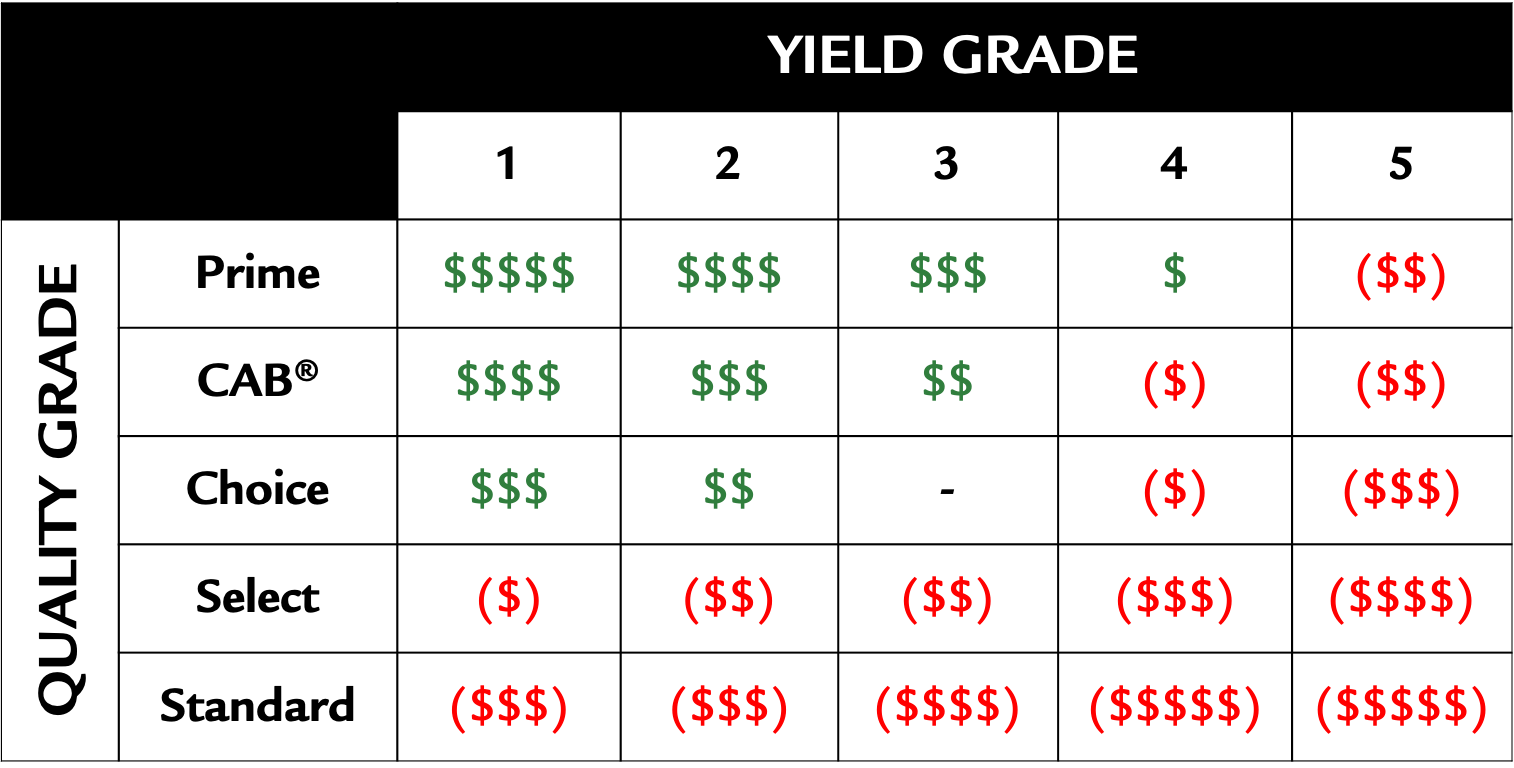 grid premiums and discounts table