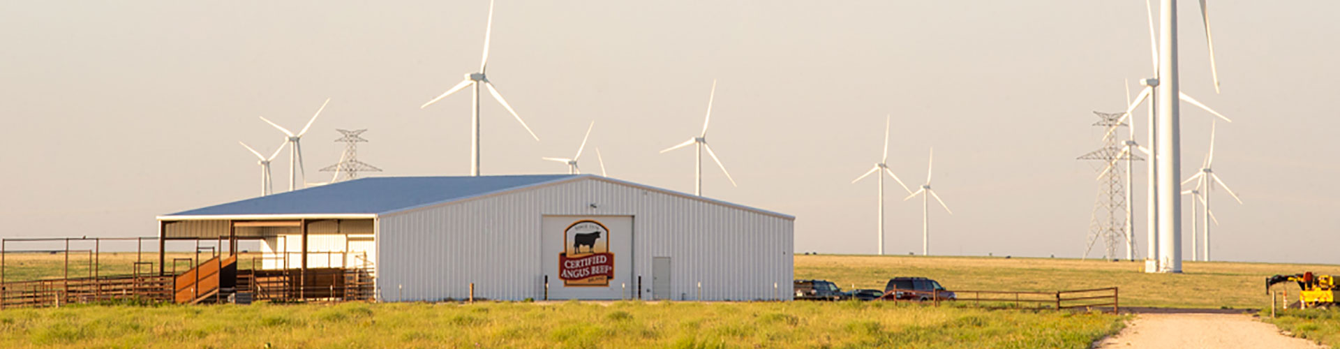 olson barn