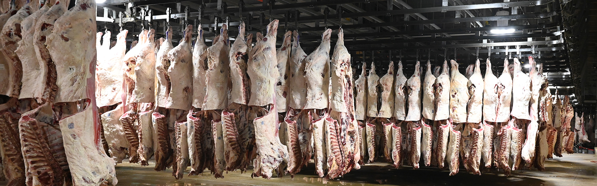 Info on meat drying?  OSU Extension Service