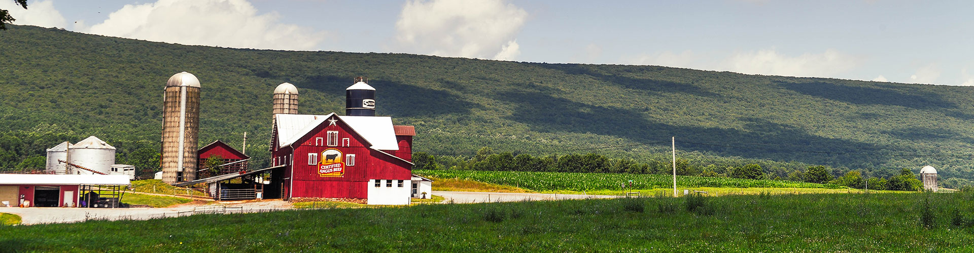 Ulrich branded barn