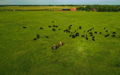 “Join Our Table” in action