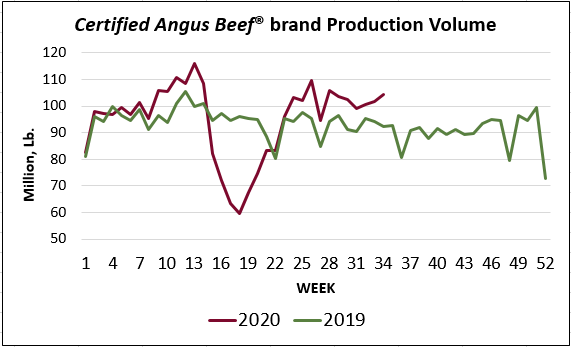 cab insider production volume