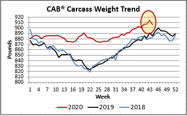 CAB carcass weight trend