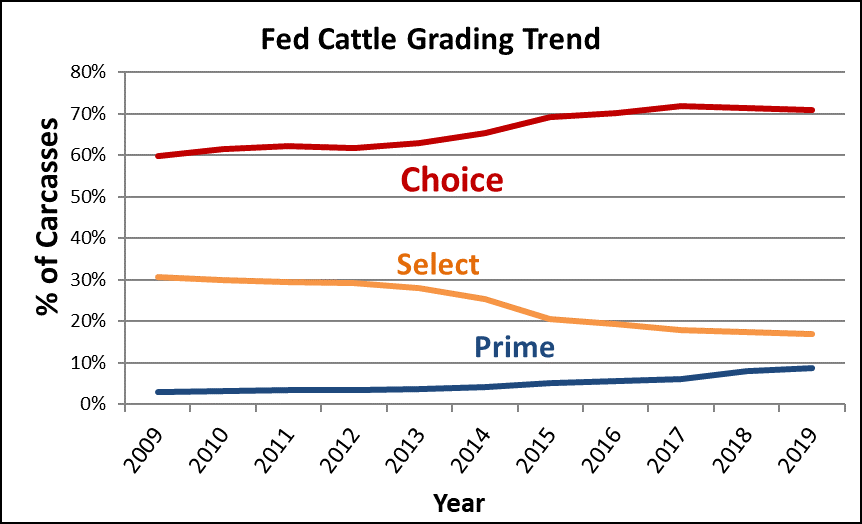 fed cattle grades