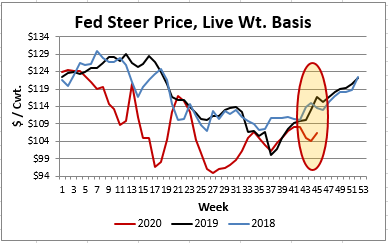 fed steer price